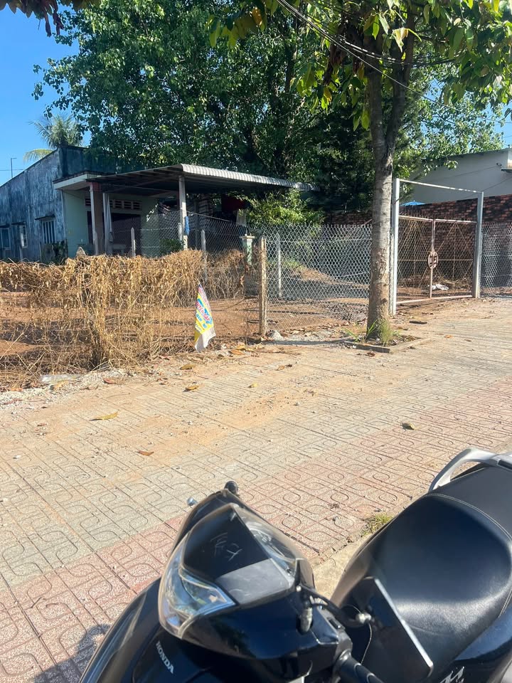 Nhà cấp 4 mặt tiền Lộ 7A, An Tây, Bến Cát 300m² giá chỉ 5 tỷ - Sẵn sàng giao dịch ngay!