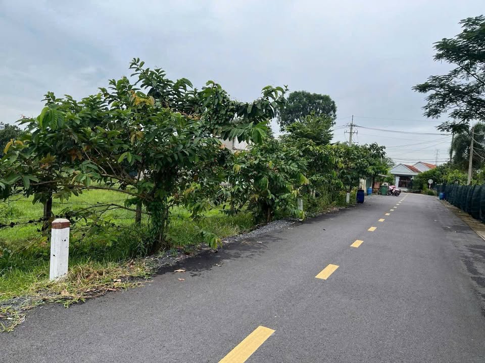 Đất thổ cư 762m² xã Tân An Hội - Giá 5.3 tỷ, đầu tư sinh lời ngay!