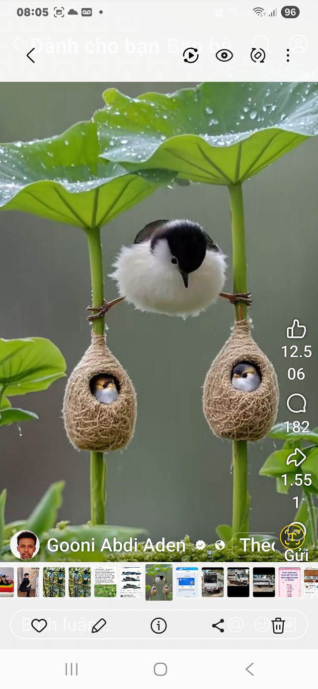 Đất nền trung tâm Thị Trấn Thắng, Hiệp Hòa 88m² giá 1.36 tỷ - Vị trí đắc địa gần trường học!