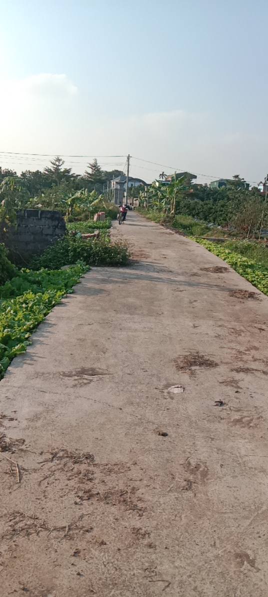 Đất nền Đồng Du Bình Lục 153m² giá thỏa thuận - Tiềm năng đầu tư vượt trội!