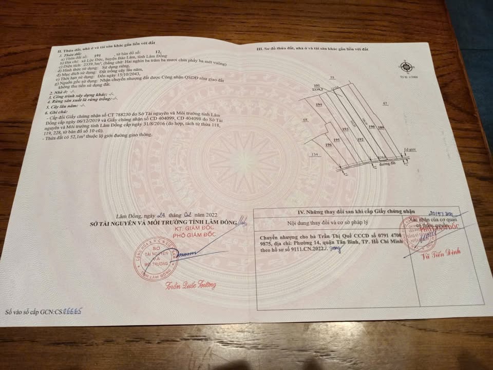 Đất Cây Lâu Năm Lộc Đức Bảo Lâm 2339m² giá 3.5 tỷ - Vị trí đắc địa bên hồ!