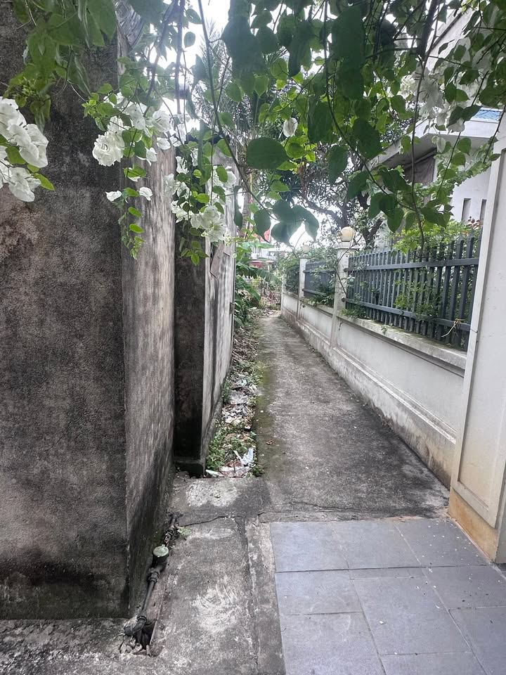 Đất nền Thụy Hương Kiến Thụy 90m² giá 1.3 tỷ - Cơ hội sở hữu lô góc hiếm có!