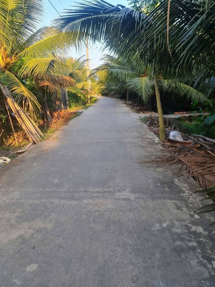 Đất nền Tân Mỹ Chánh 1000m² giá 2 tỷ - Pháp lý rõ ràng, xây biệt thự lý tưởng!