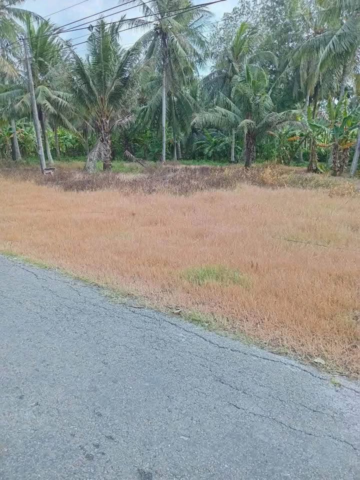 Đất nền mặt tiền đường HL173, xã Phong Nẫm, Giồng Trôm - Giá 340 triệu, cơ hội đầu tư hiếm có!