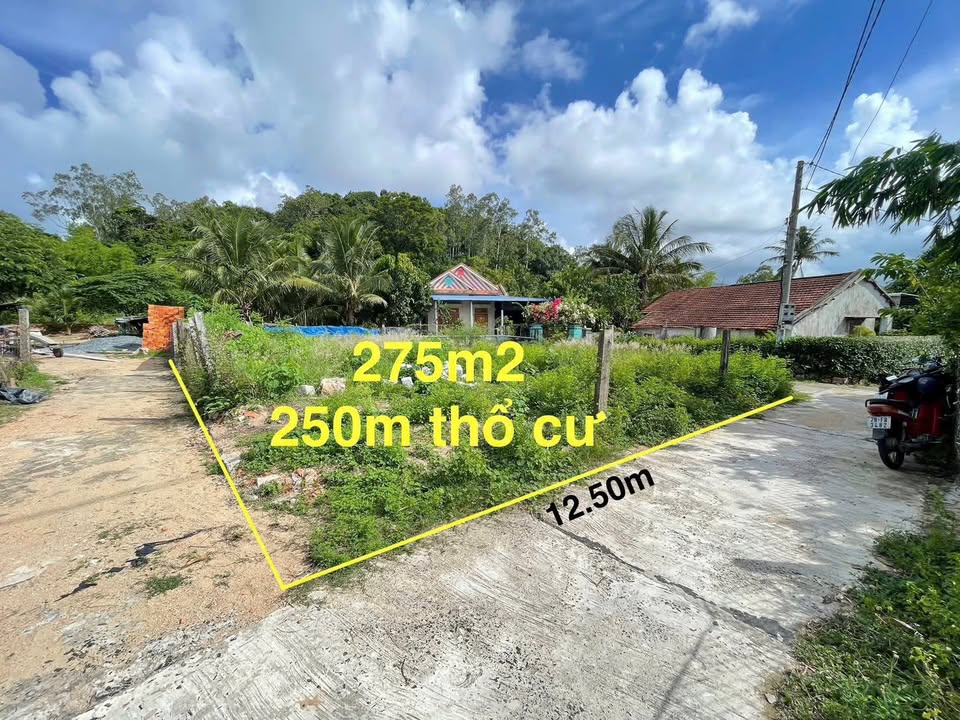 Đất thổ cư Hòa Hiệp, Phú Yên 275m² giá 1.1 tỷ - Đường ô tô tận nơi!