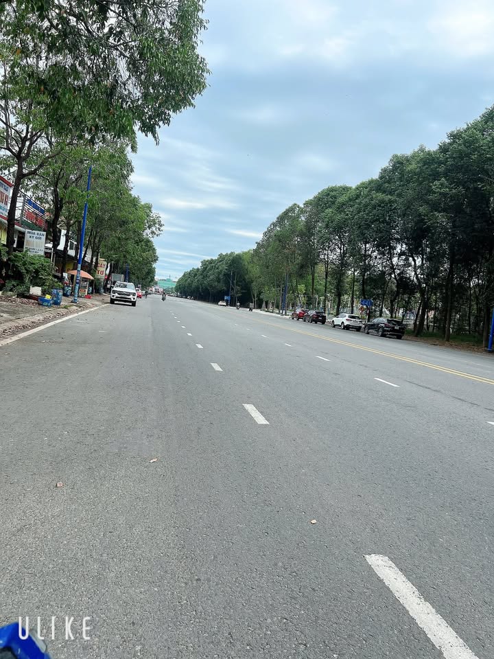 Đất nền dự án nhà ở cao tầng Bến Cát 50m² - Giá tốt thỏa thuận!