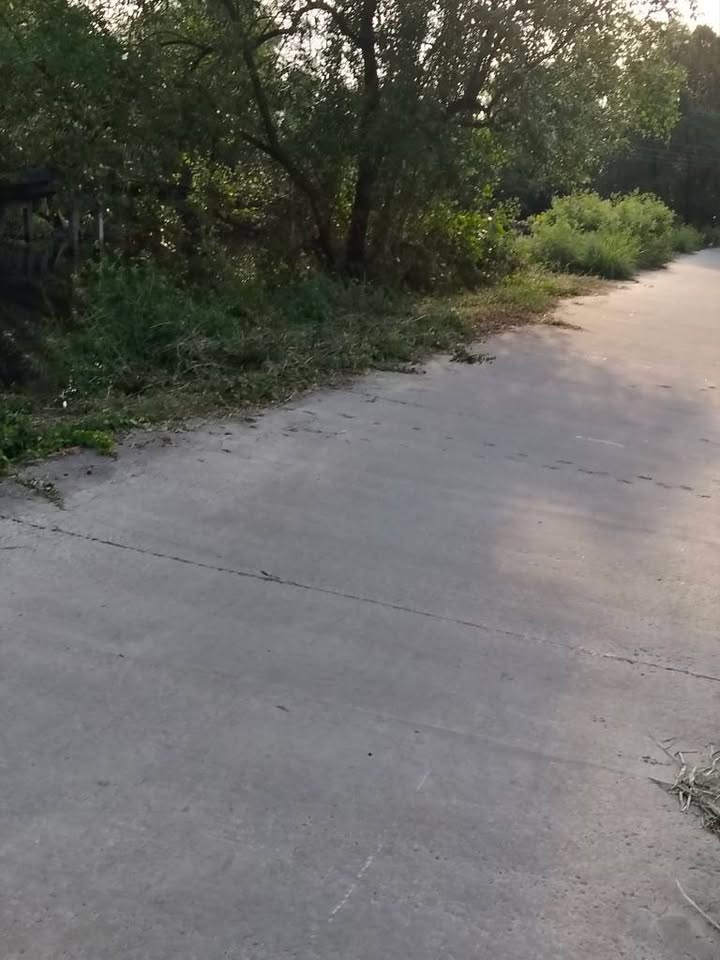 Đất thổ cư An Xuyên Cà Mau 4290m² giá 3.7 tỷ - Đầu tư lý tưởng!