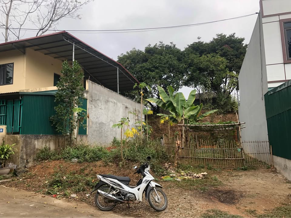 Đất nền Tràng Đà Tuyên Quang 115m² - Chính chủ bán gấp, giá thương lượng!