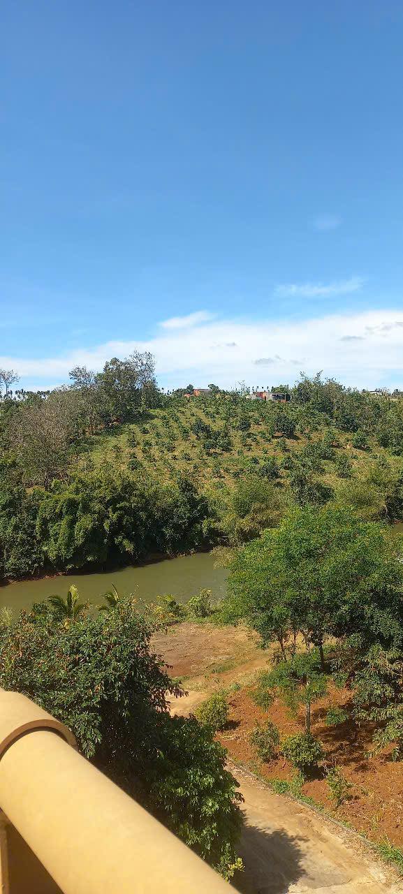 Đất 7 sào Tổ 6 Nghĩa Tân cũ giá 2.1 tỷ - Thích hợp đầu tư ngay!