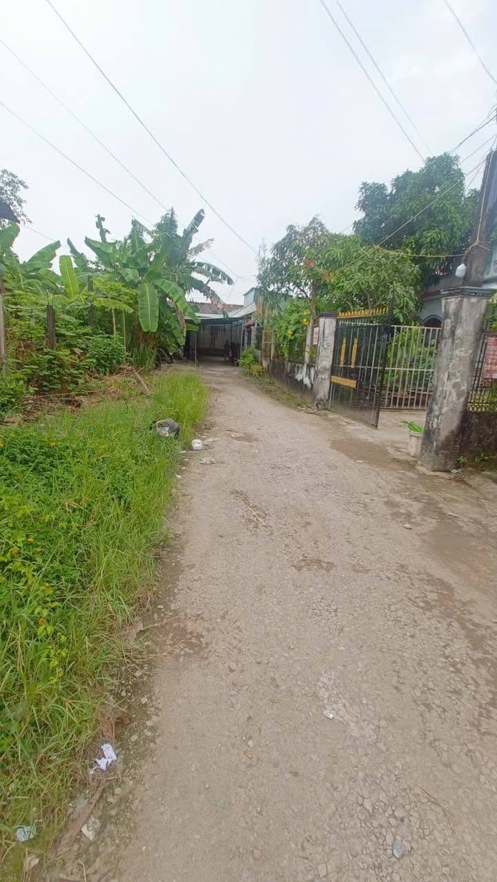 Nhà phố 4x20m tại phường Lý Văn Lâm, Cà Mau - Sổ đỏ chính chủ, giá 1.59 tỷ