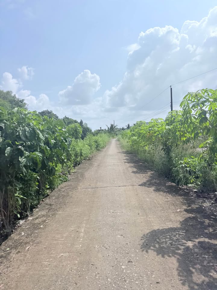 Đất nền Phường Lý Văn Lâm, Cà Mau 300m² chỉ từ 200 triệu - Hàng hiếm không thể bỏ lỡ!