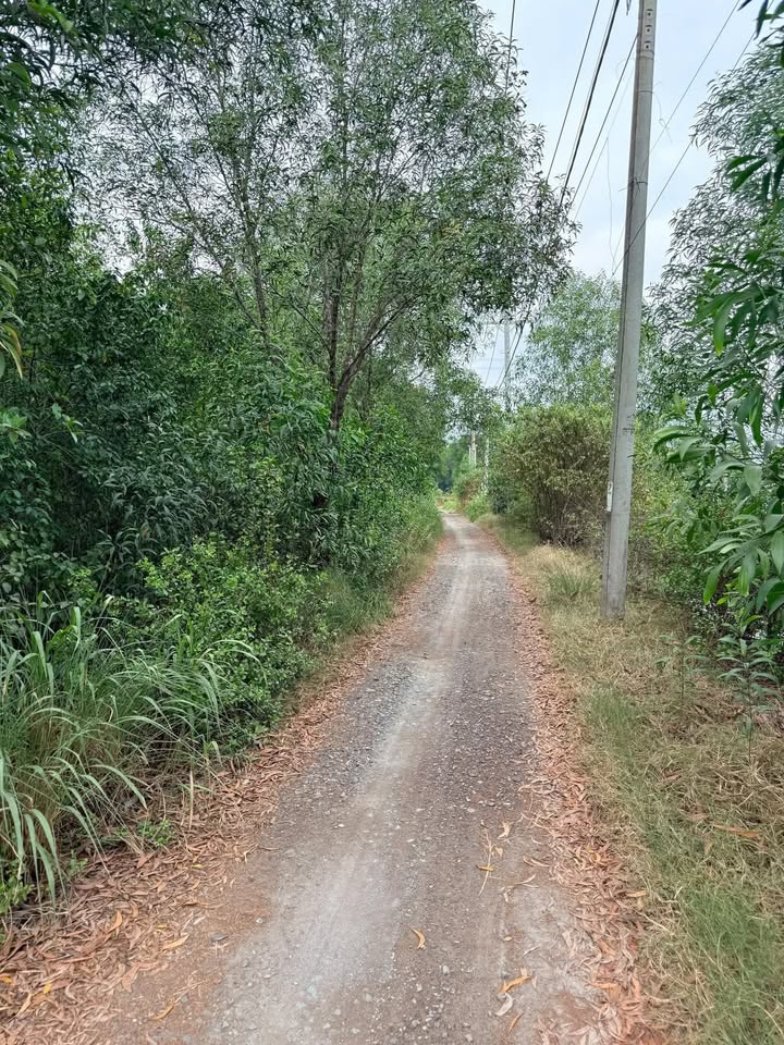 Đất nền Phước An Nhơn Trạch 1000m² chỉ 770 triệu - Đầu tư sinh lời ngay!