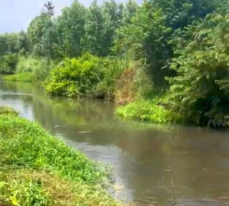 Đất nền Hòa Hội, Xuyên Mộc 1422m² chỉ 500 triệu - Cơ hội đầu tư tuyệt vời!