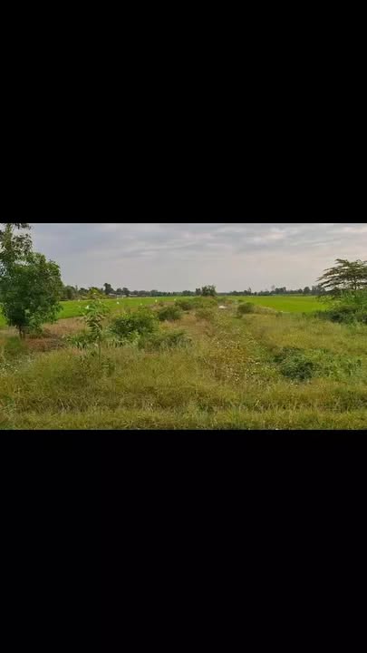 Đất thổ cư xã Phước Hảo, Châu Thành, Trà Vinh 4000m² - Chính chủ bán gấp!