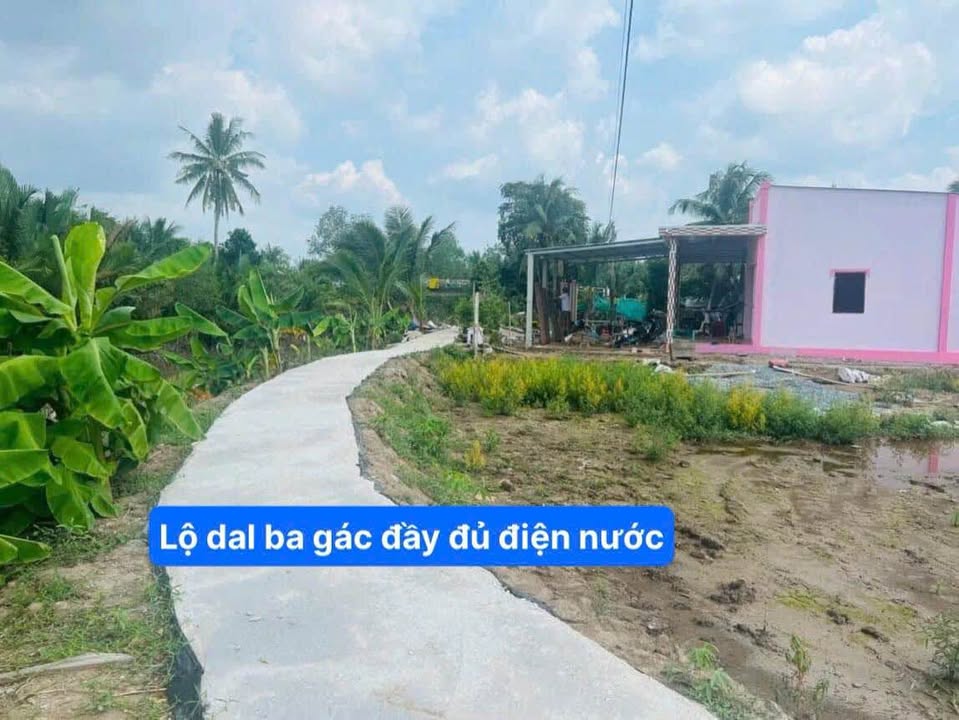 Đất nền Xã Long Hồ 95m² chỉ 199 triệu - Cơ hội đầu tư tuyệt vời!