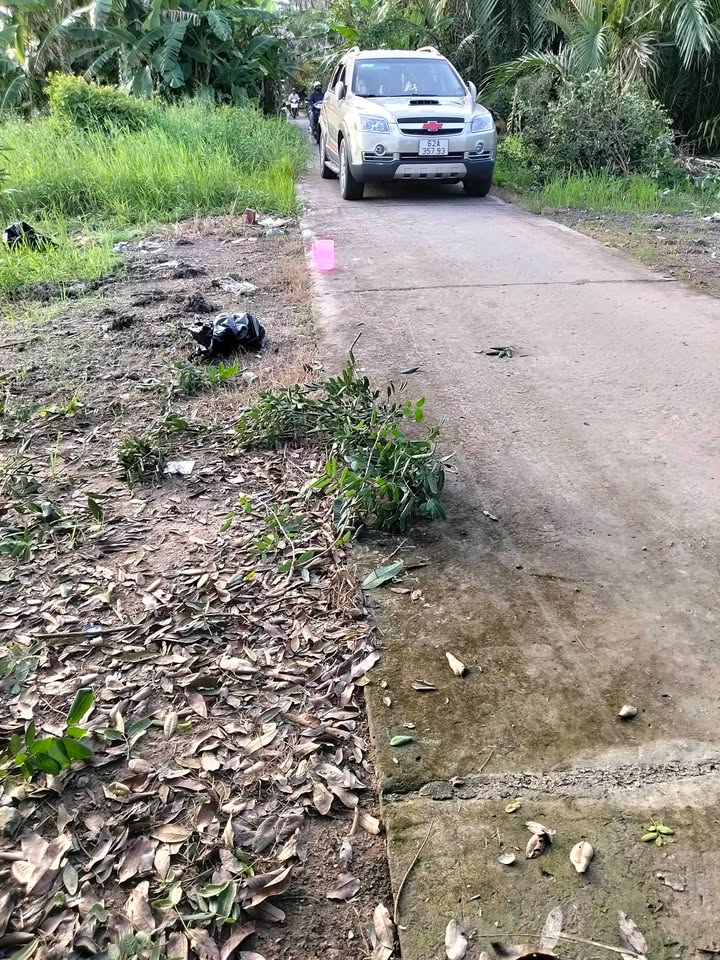 Đất vườn 1200m² tại Giục Tượng, Châu Thành - Giá chỉ 600 triệu VND!