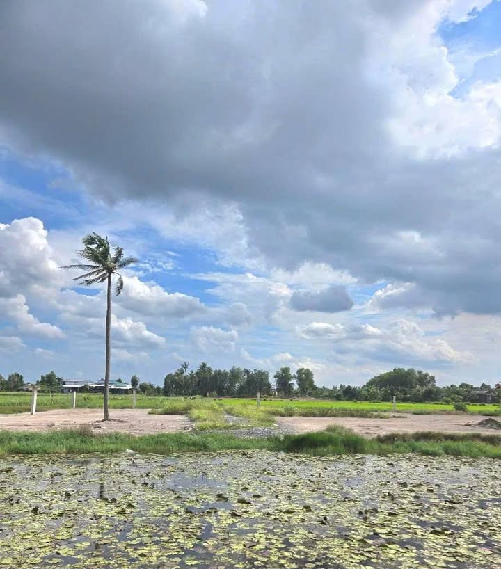 Đất nền 3000m² xã Phú Hữu, Nhơn Trạch giá chỉ 6 tỷ - Đón đầu cầu Cát Lái!