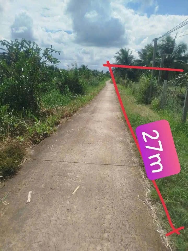 Đất vườn dừa 2300m² tại Phong Nẫm, Giồng Trôm - Giá chỉ 4.14 tỷ