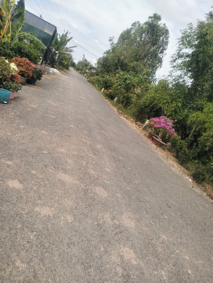 Đất nông nghiệp 50 công tại Phú Đức, Tam Nông - Giá 7.5 tỷ, thuận lợi cho kinh doanh!