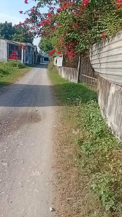 Đất nền Rừng Dầu, Đức Hòa 119m² giá 1.28 tỷ - Sổ đỏ chính chủ, thổ cư 100%!