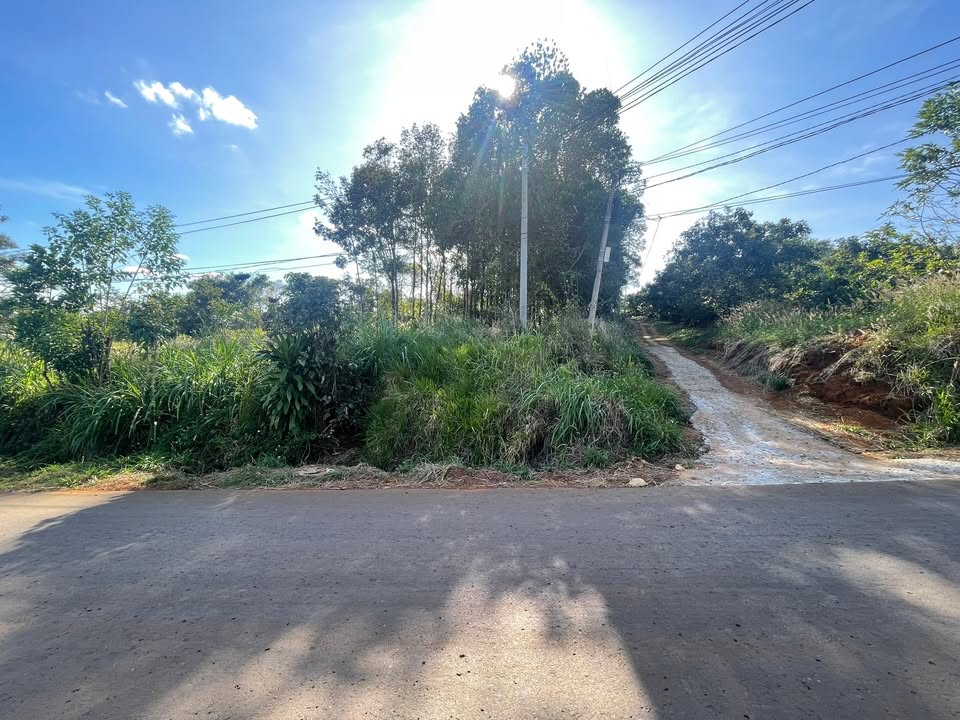 Đất nền Đắk R'Moan 50000m² giá 2.8 tỷ - Mặt tiền đường nhựa rộng rãi!