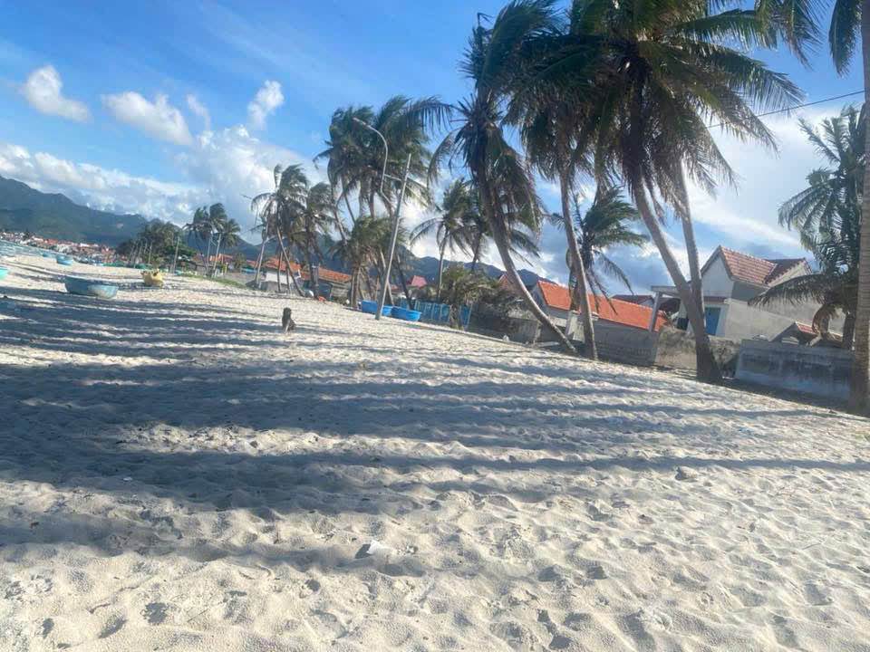 Đất nền Ninh Hải, Ninh Hòa 163m² giá 5.5 tỷ - Cơ hội đầu tư không thể bỏ qua!