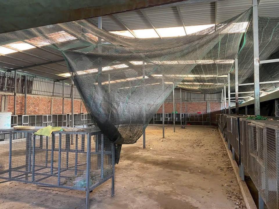 Bán kho xưởng - nhà ở - vườn đường Vườn Thơm, Bình Chánh 7000m² - Pháp lý sổ đỏ