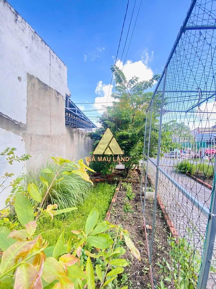 Đất nền mặt tiền Trần Văn Thời Nối Dài 117m² giá 1.4 tỷ - Kinh doanh thuận lợi!