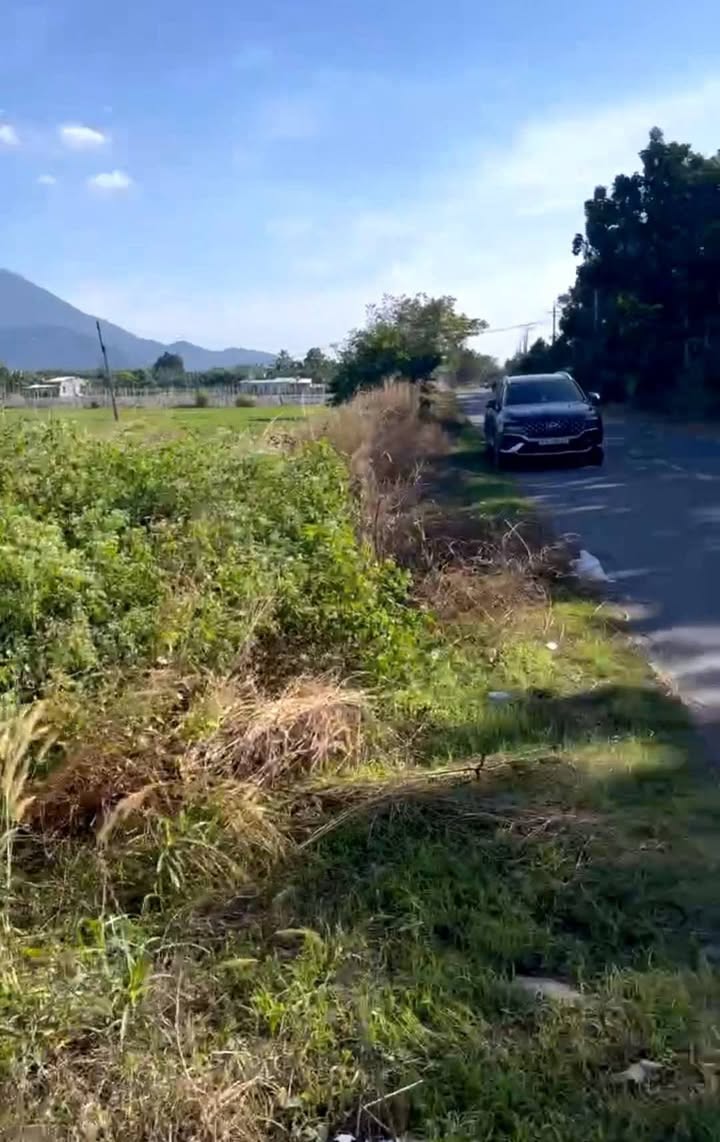 Đất mặt tiền đường 793B, xã Tân Phú, Tây Ninh 3139m² giá 2.737 tỷ - Cơ hội đầu tư hấp dẫn!