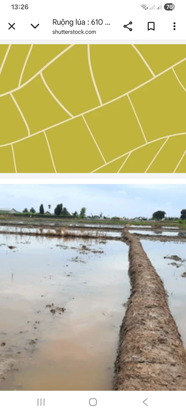 Đất nông nghiệp 5 sào tại xã Ea Ning - Giá chỉ 400 triệu - Đầu tư sinh lời ngay!