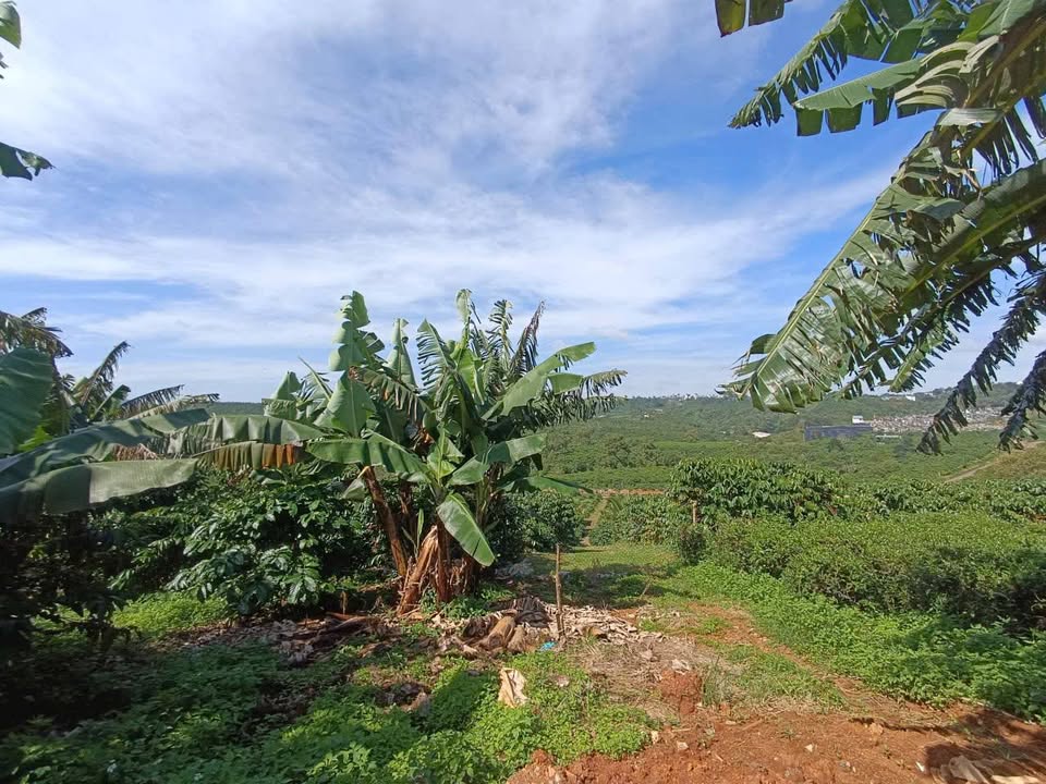 Đất nền Lộc Thành, Bảo Lâm 516m² giá 870 triệu - Đầu tư sinh lời ngay!