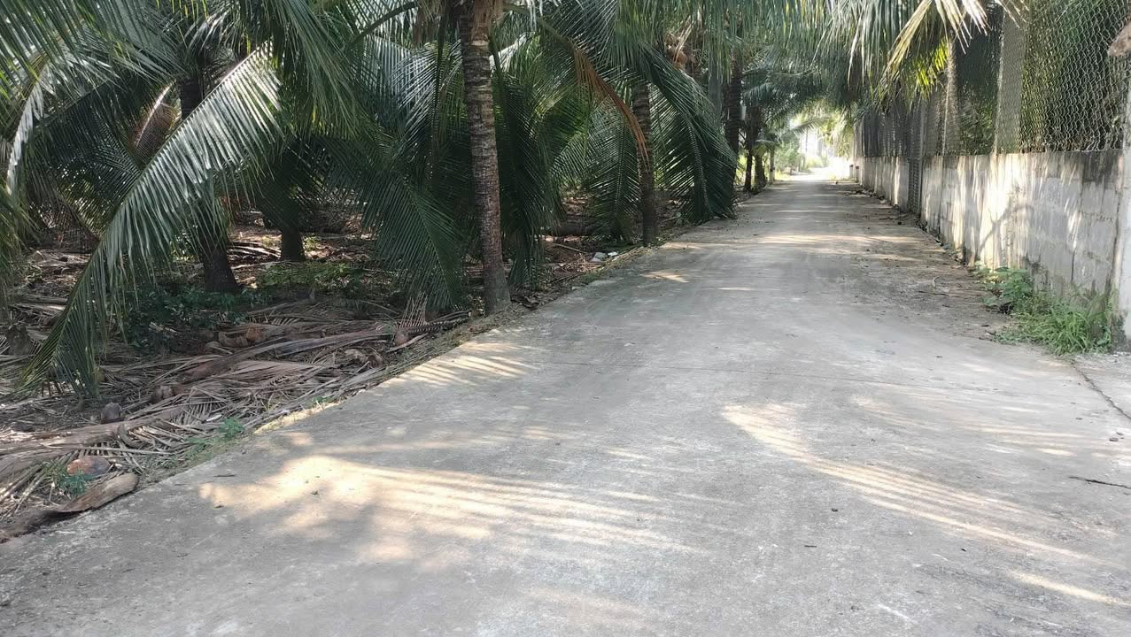 Đất nền Đạo Thạnh, Mỹ Tho 374m² giá 2.99 tỷ - Đường ô tô thông thoáng nhiều hướng!