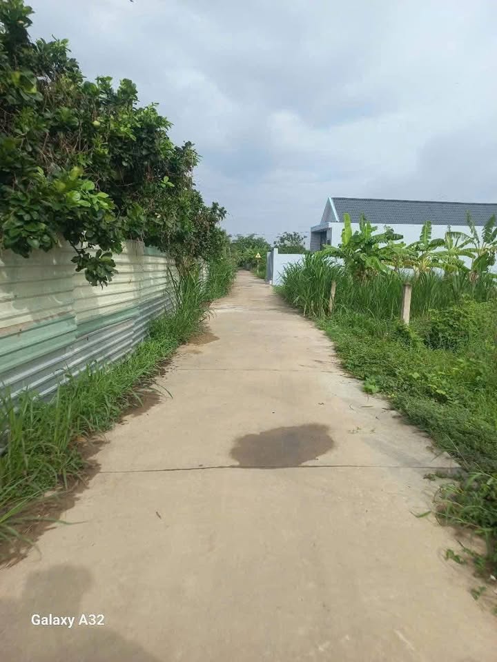 Đất nền Mỹ Hòa, Mỹ Phong 97.5m² giá 680 triệu - Đầu tư sinh lời ngay!