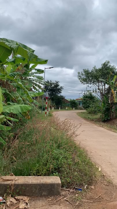 Đất nền 5,8 sào tại thôn Đại Thành, Đắk Lắk - Giá chỉ 350 triệu!