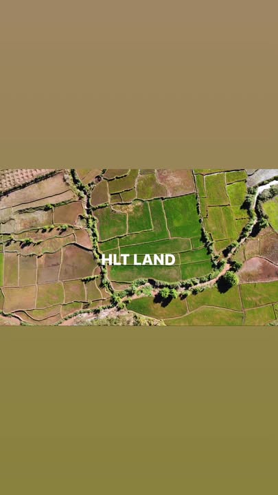 Farm 3ha tại xã Ia Ko, huyện Chư Sê, Gia Lai - Giá 7.2 tỷ - Đất đỏ bazan màu mỡ!