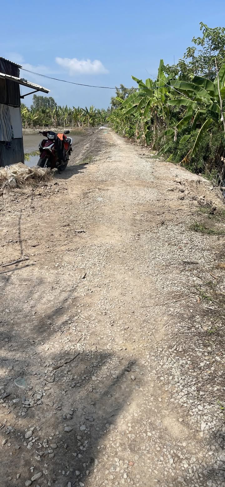 Đất nền tại phường Mỹ Trà, Cao Lãnh, Đồng Tháp 1056m² giá 370 triệu - Đầu tư sinh lời ngay!