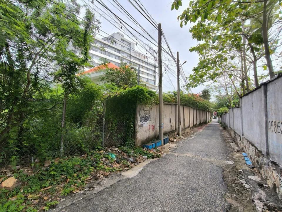 Đất thổ cư Trần Phú, Vũng Tàu 467m² giá 37.5 tỷ - Vị trí đẹp gần biển!