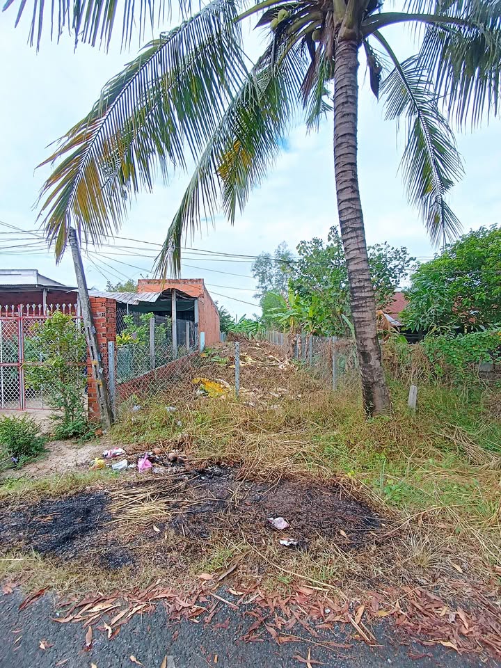 Đất nền Trường Tây, Hòa Thành 150m² giá chỉ 129 triệu - Cơ hội đầu tư tuyệt vời!