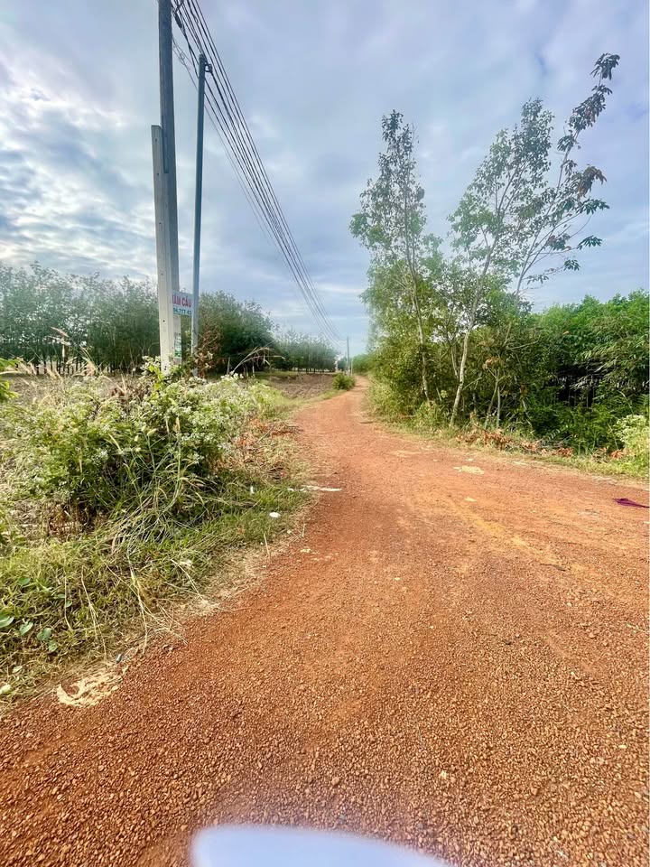 Đất nền Thạnh Bình, Tân Biên 10.000m² giá 3 tỷ - Đường ô tô thông thoáng!