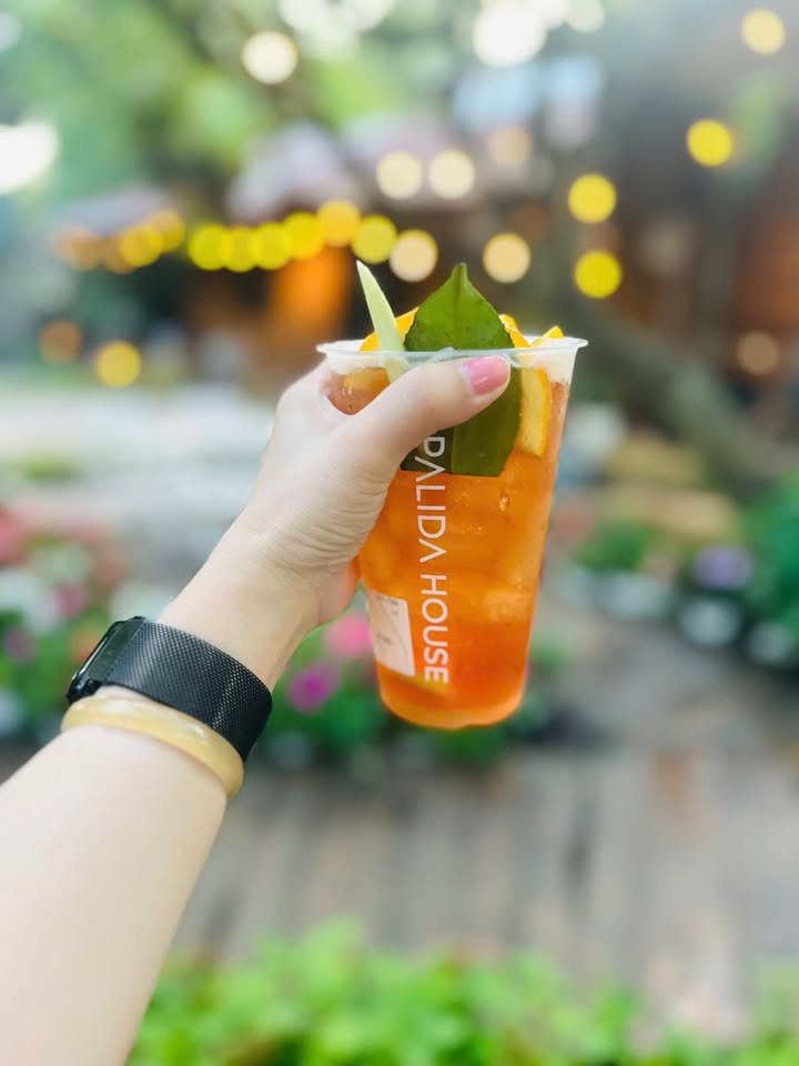 Đất bán Trường Thiện, Hòa Thành, Tây Ninh 15.000m² giá 7.2 tỷ - Sổ hồng chính chủ, cao su đang khai thác!