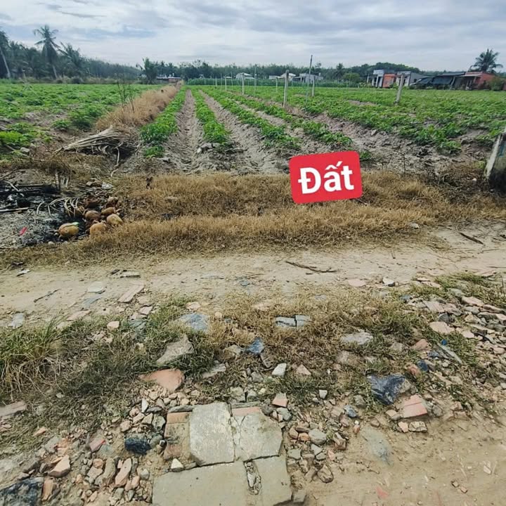 Đất nền An Cơ Châu Thành Tây Ninh 210m² giá 239 triệu - Đường ô tô dễ dàng tiếp cận!