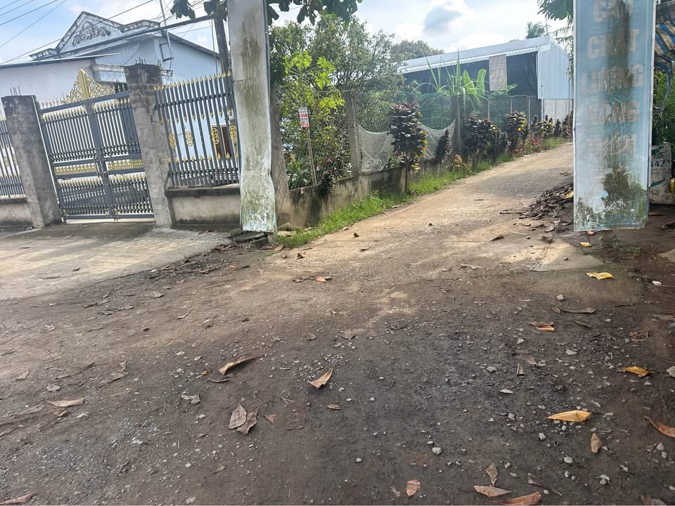 Đất thổ cư 60m² tại Phong Phú, Cầu Kè, Trà Vinh - Đầu tư sinh lời ngay!