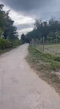 Đất 300m² tại Ấp Giồng Cà, Bình Minh, Tây Ninh - Giá chỉ 600 triệu