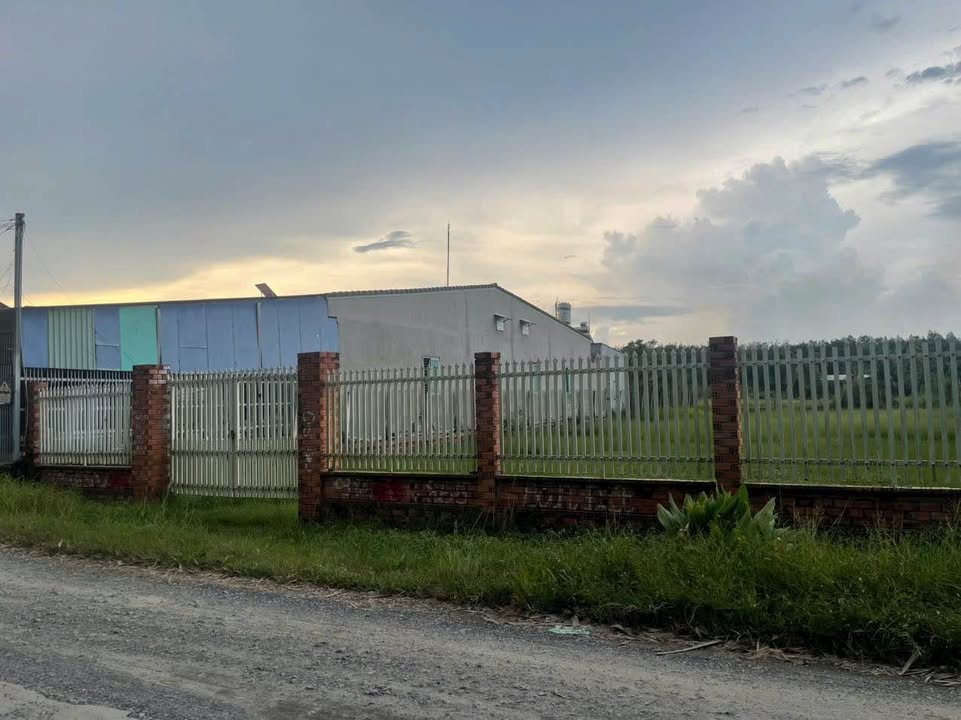 Đất nền kinh doanh Long Hoa, Tây Ninh 1360.8m² giá chỉ 110 triệu - Cơ hội đầu tư tốt!