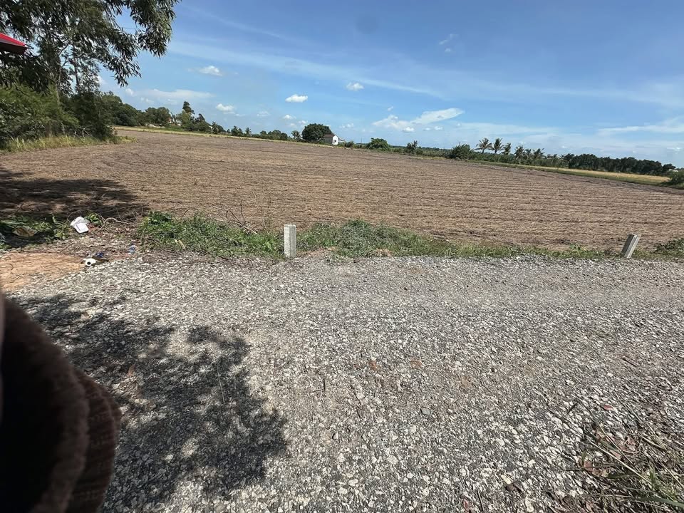 Đất nền Ấp Trường, Hảo Đước, Châu Thành 1015m² chỉ 160 triệu - Cơ hội đầu tư tuyệt vời!