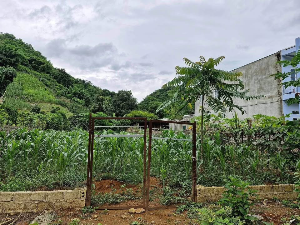 Đất nền 250m² tại bản Kềm, Chiềng Ngần - Giá siêu tốt, phù hợp làm nhà vườn!