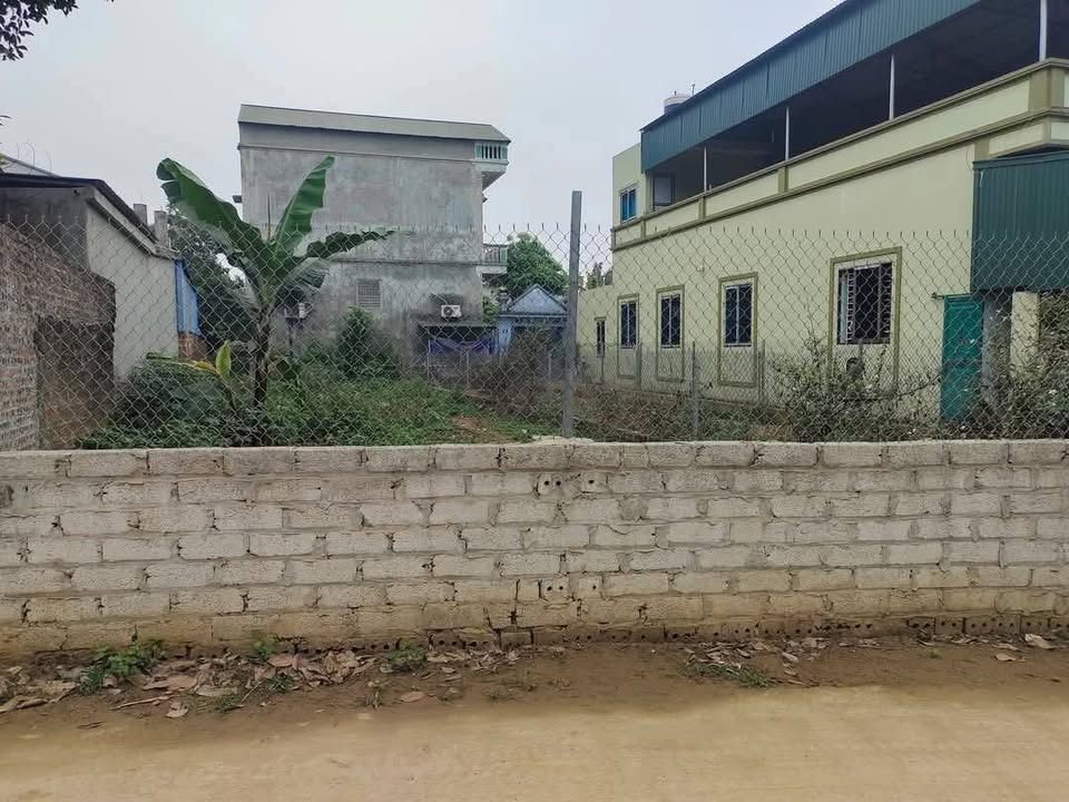 Đất thổ cư xã Hạ Bằng 149m² giá thỏa thuận - Mặt tiền rộng, vị trí đẹp!