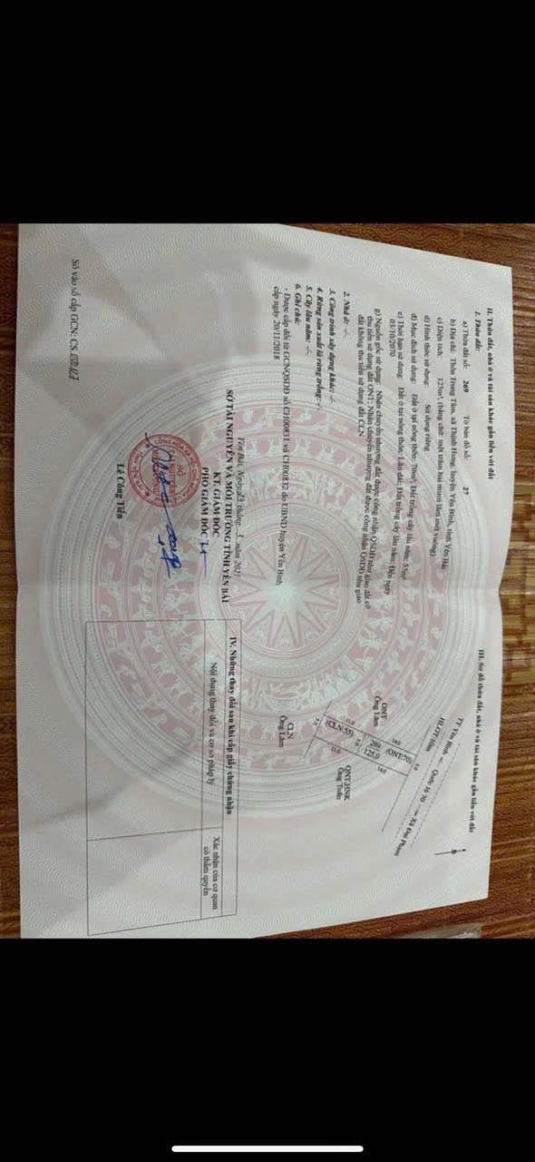 Lô đất 125m² tại xã Thịnh Hưng - Yên Bình, giá 1 tỷ - Đầu tư sinh lời lâu dài!