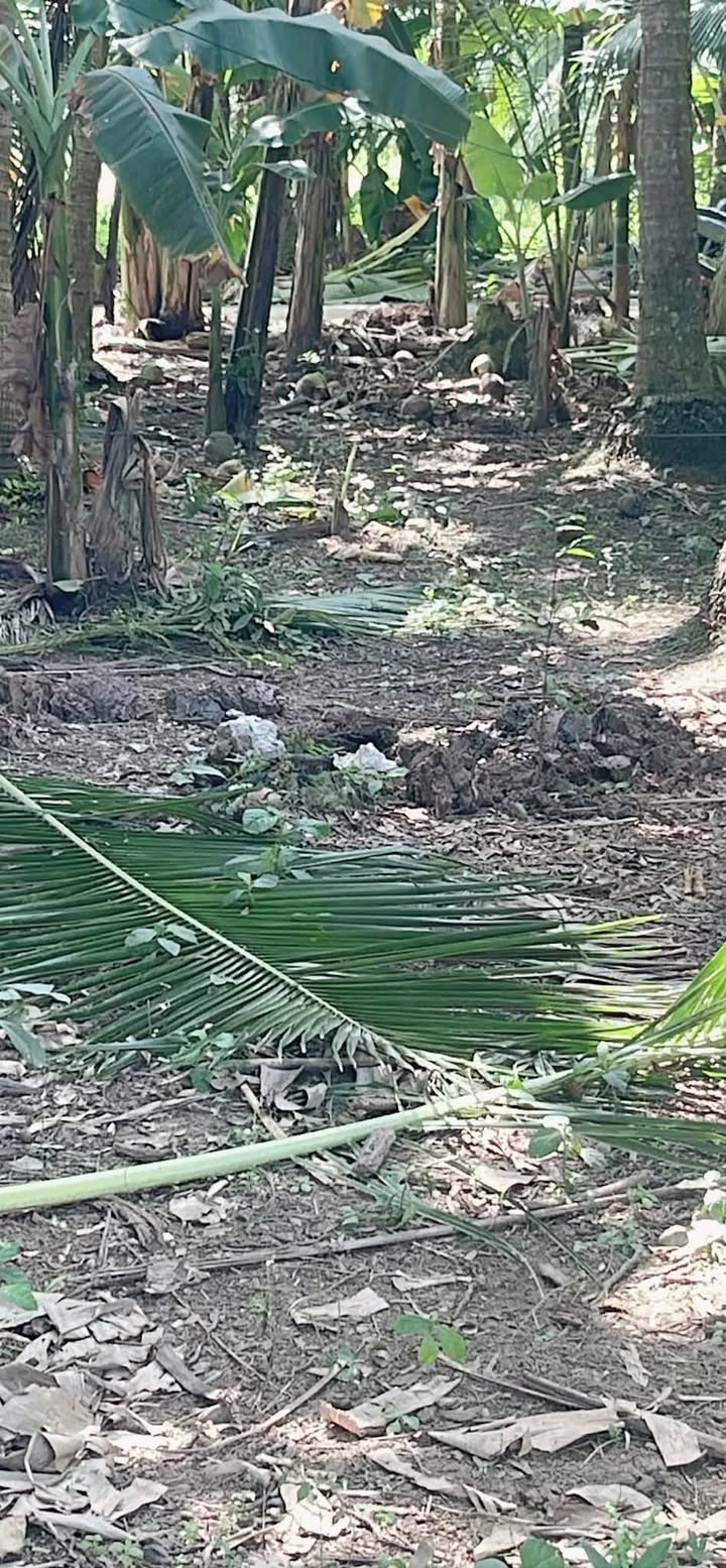 Đất nền Long Đức Sóc Trăng 486m² giá 270 triệu - Cơ hội đầu tư tuyệt vời!