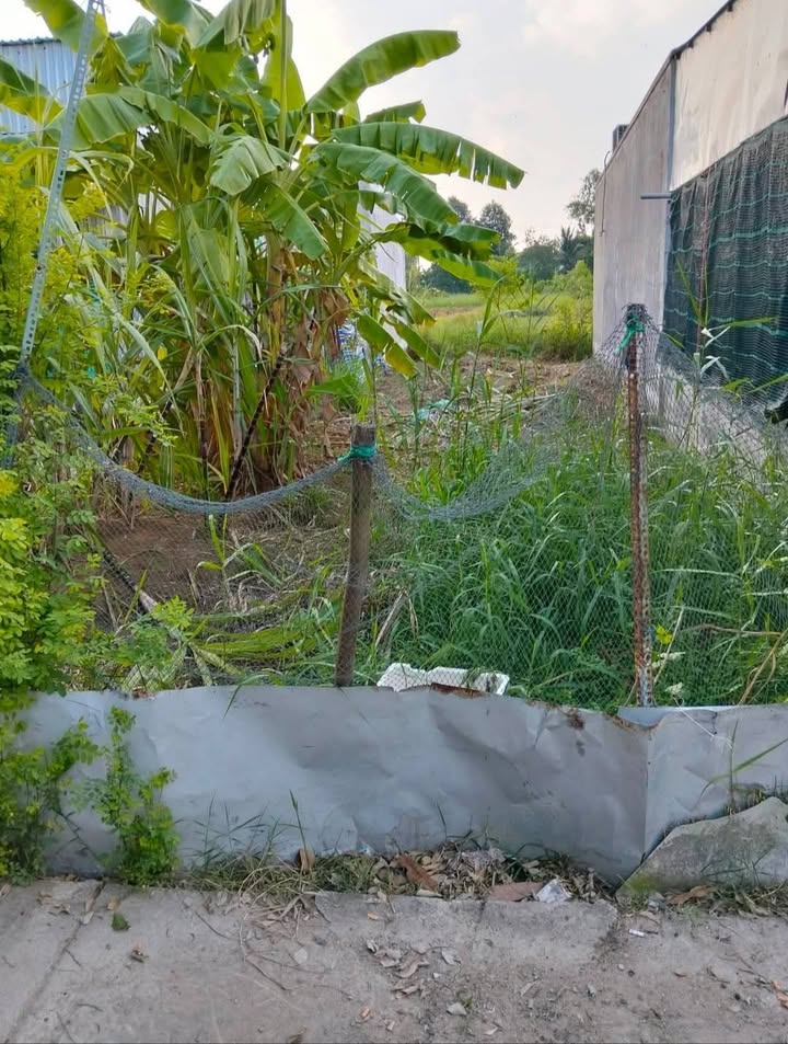 Đất nền hẻm nhánh đường Bùi Viện Rạch Giá 126m² giá 485 triệu - Cơ hội vàng cho nhà đầu tư!